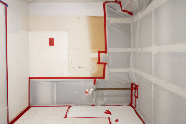 Best Mold Remediation for Healthcare Facilities  in Pennsburg, PA