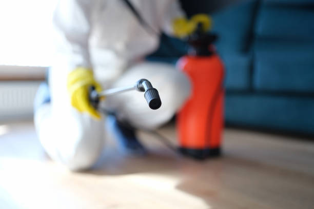 Best Air Quality Testing for Mold Spores  in Pennsburg, PA