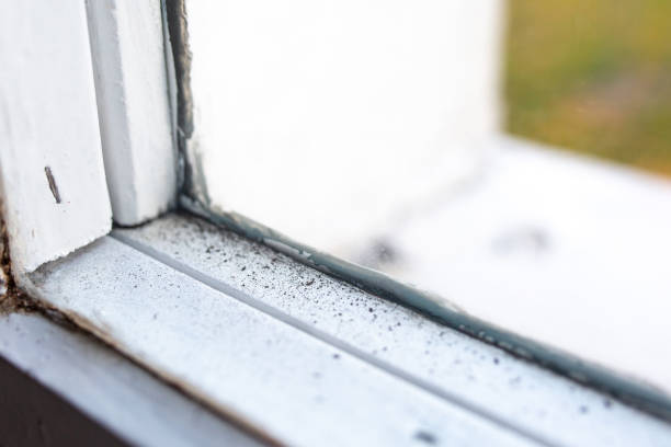 Pennsburg, PA Mold Removal Company