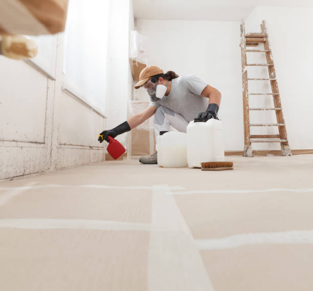 Dehumidification Services in Pennsburg, PA