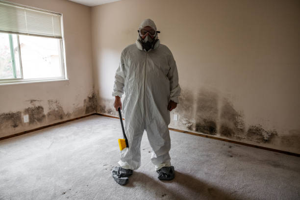Best Airborne Mold Testing  in Pennsburg, PA
